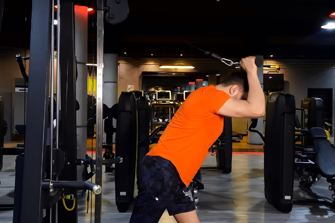 پشت بازو سیم کش دسته هشتی از بالا سر