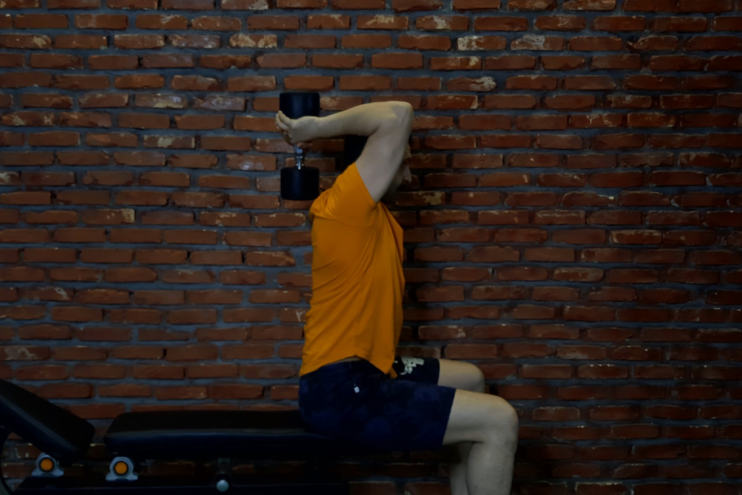 پشت بازو دمبل جفت بالای سر نشسته