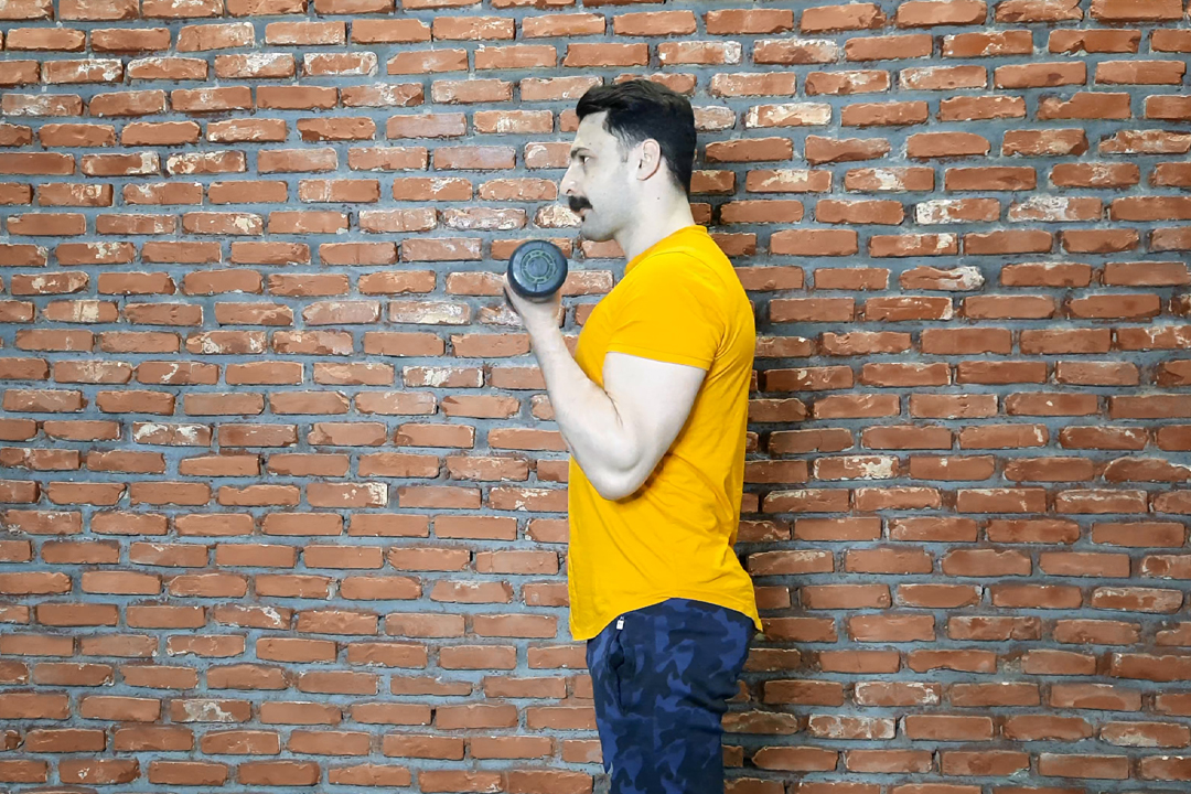 جلو بازو دمبل تک