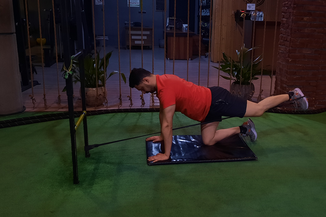 کیک بک با پاوربند چهار دست و پا