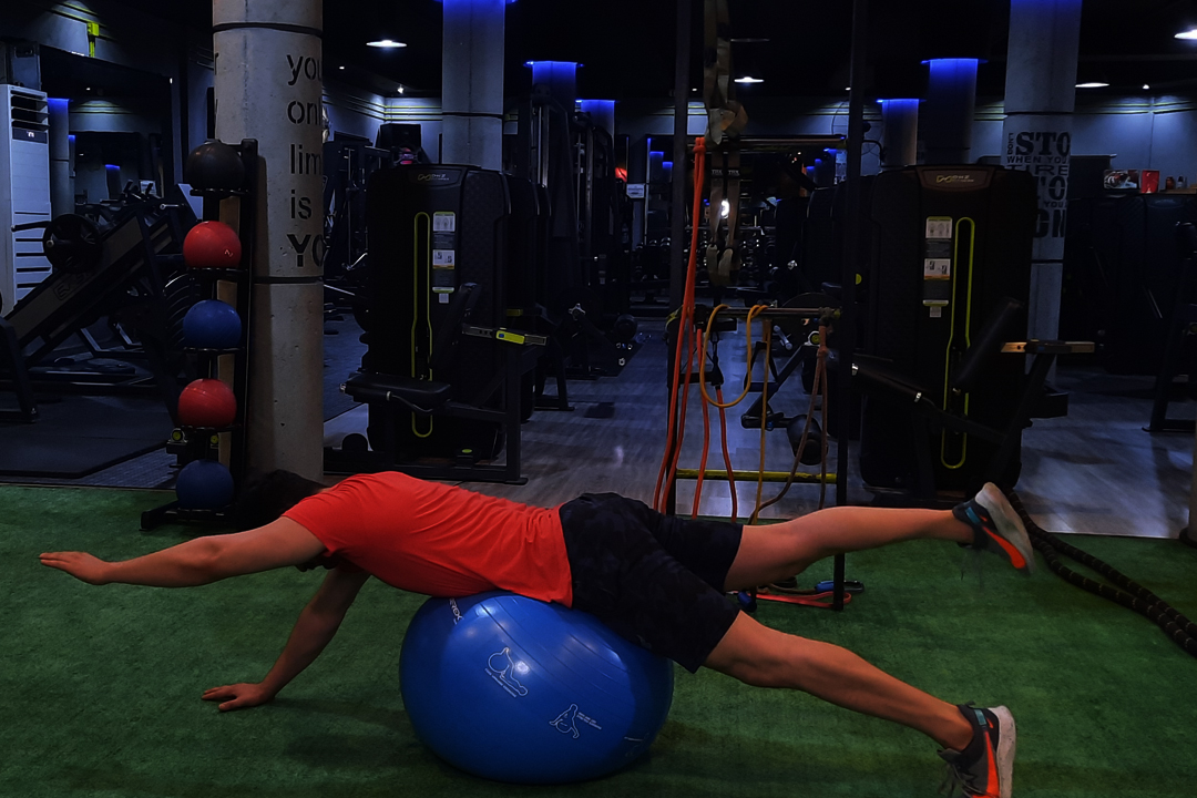 سگ پرنده روی توپ سوئیسی متناوب