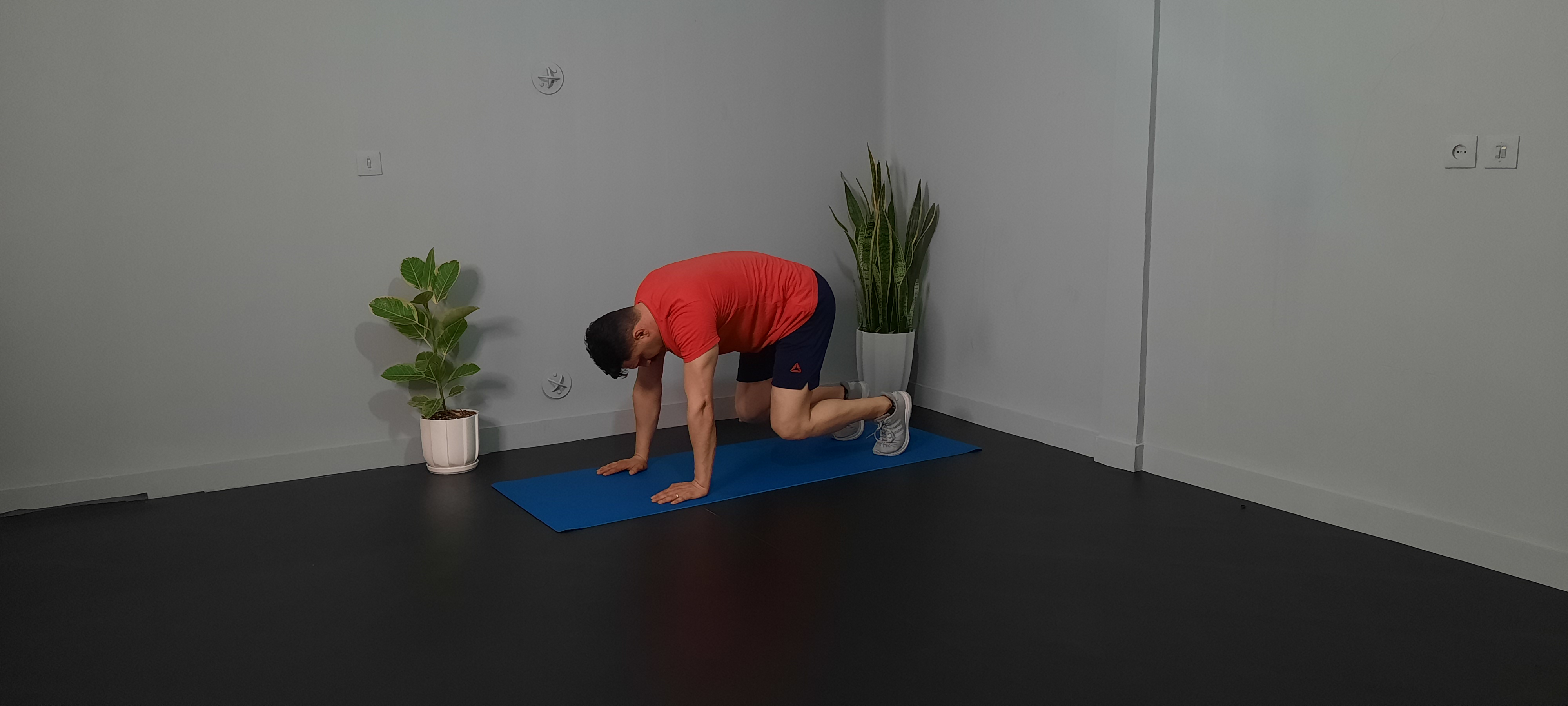 کشش همسترینگ وضعیت سگ