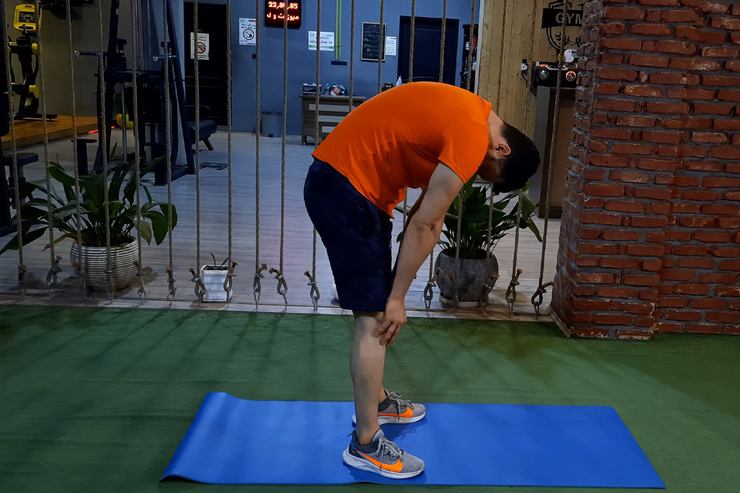 کشش گربه ایستاده