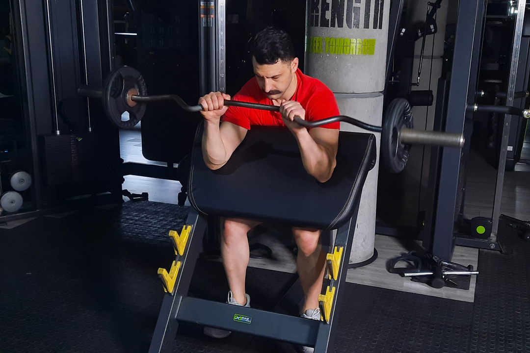 ساعد پشت هالتر لاری نشسته