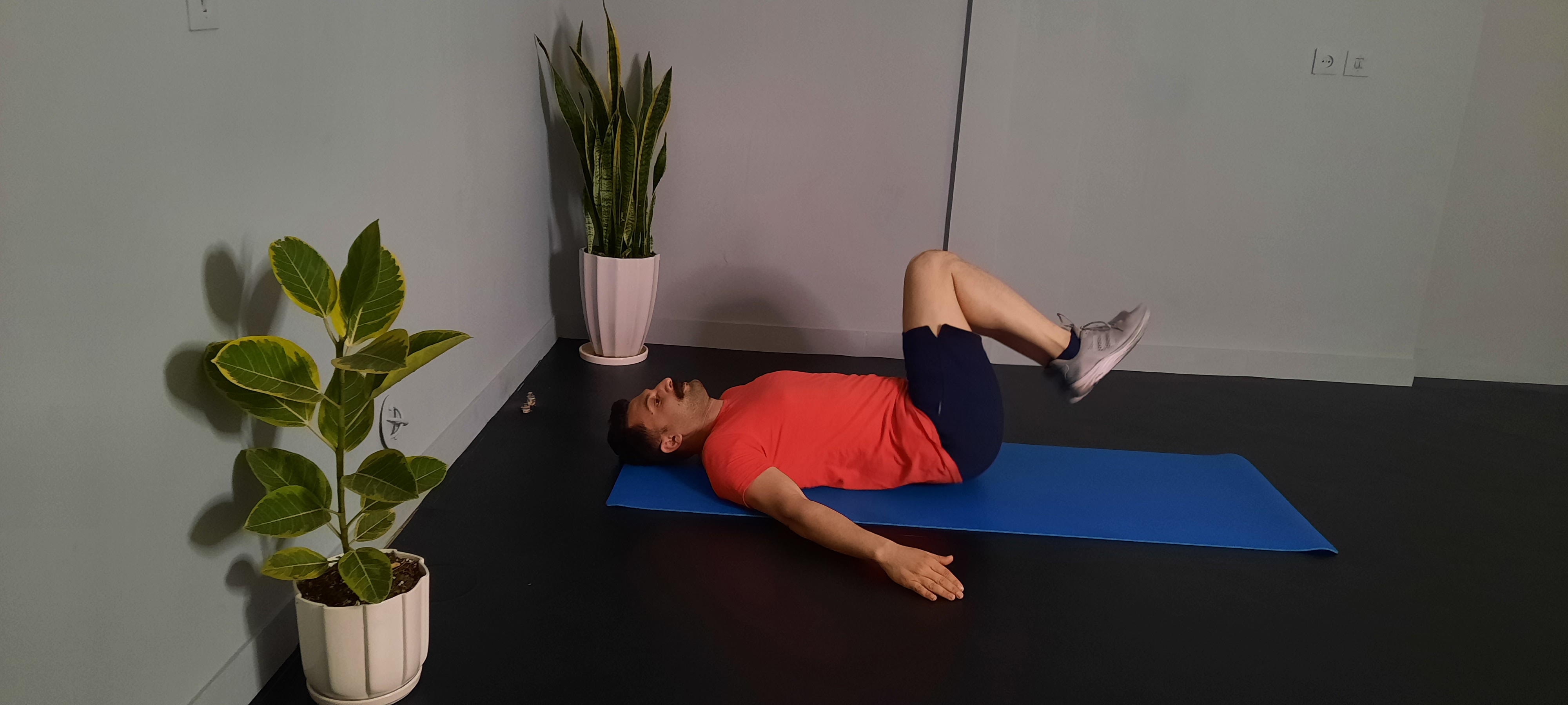 زیرشکم برف پاک کن نیمه