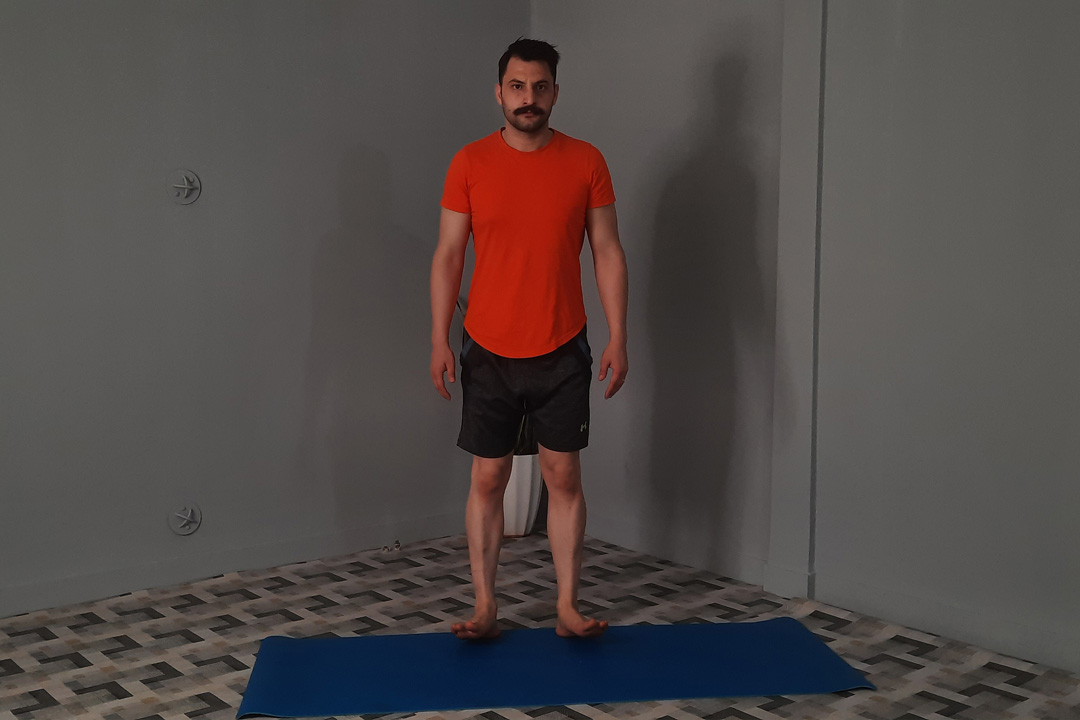 دورسی فلکشن ساق