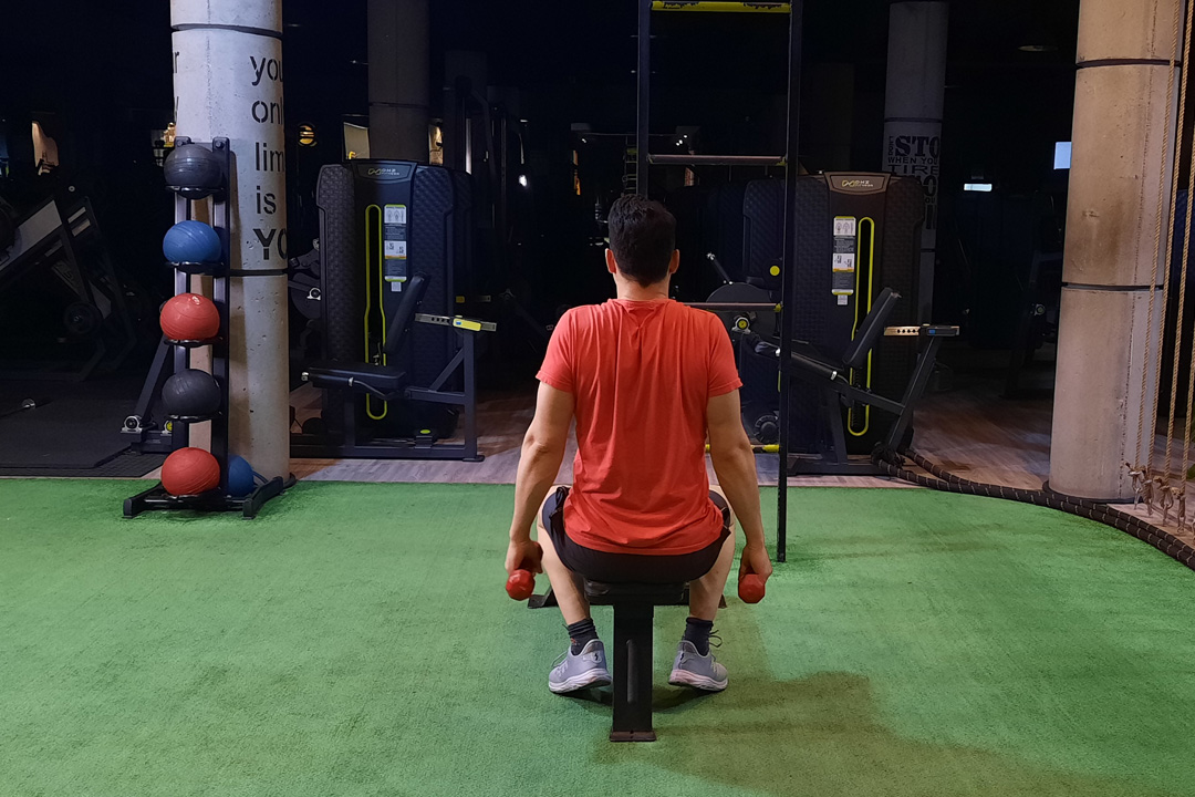 نزدیک کردن کتف ها با دمبل نشسته