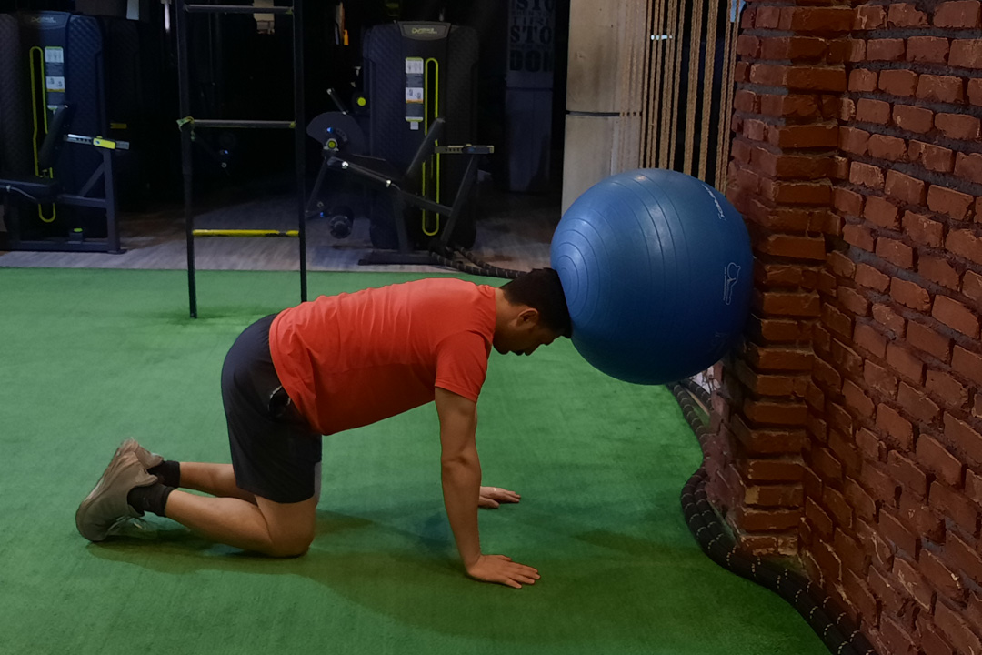 فشار سر به توپ سوئیسی چهار دست و پا