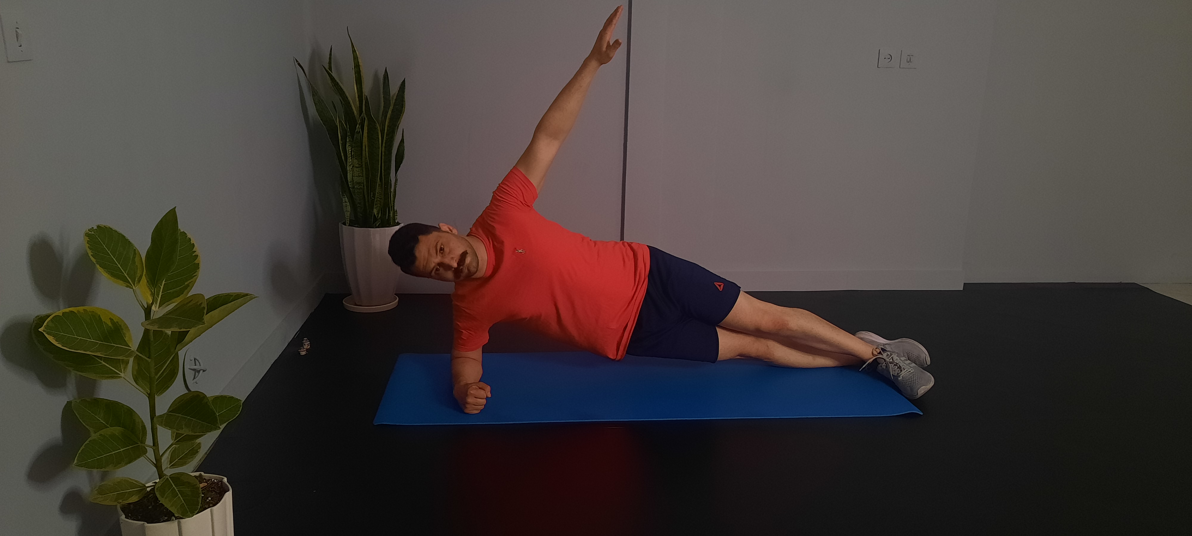 پلانک پهلو با سرشانه پرواز