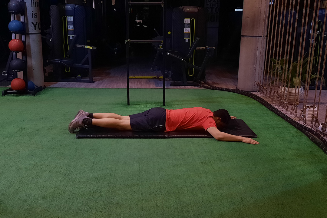 دست از W به Y کنترل حرکت کتف دمر