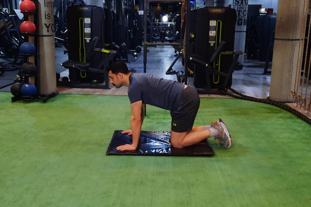 خم و باز کردن گردن چهار دست و پا