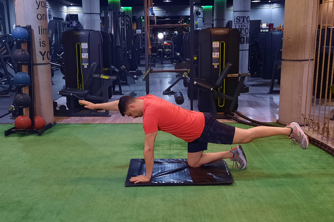 سگ پرنده متناوب