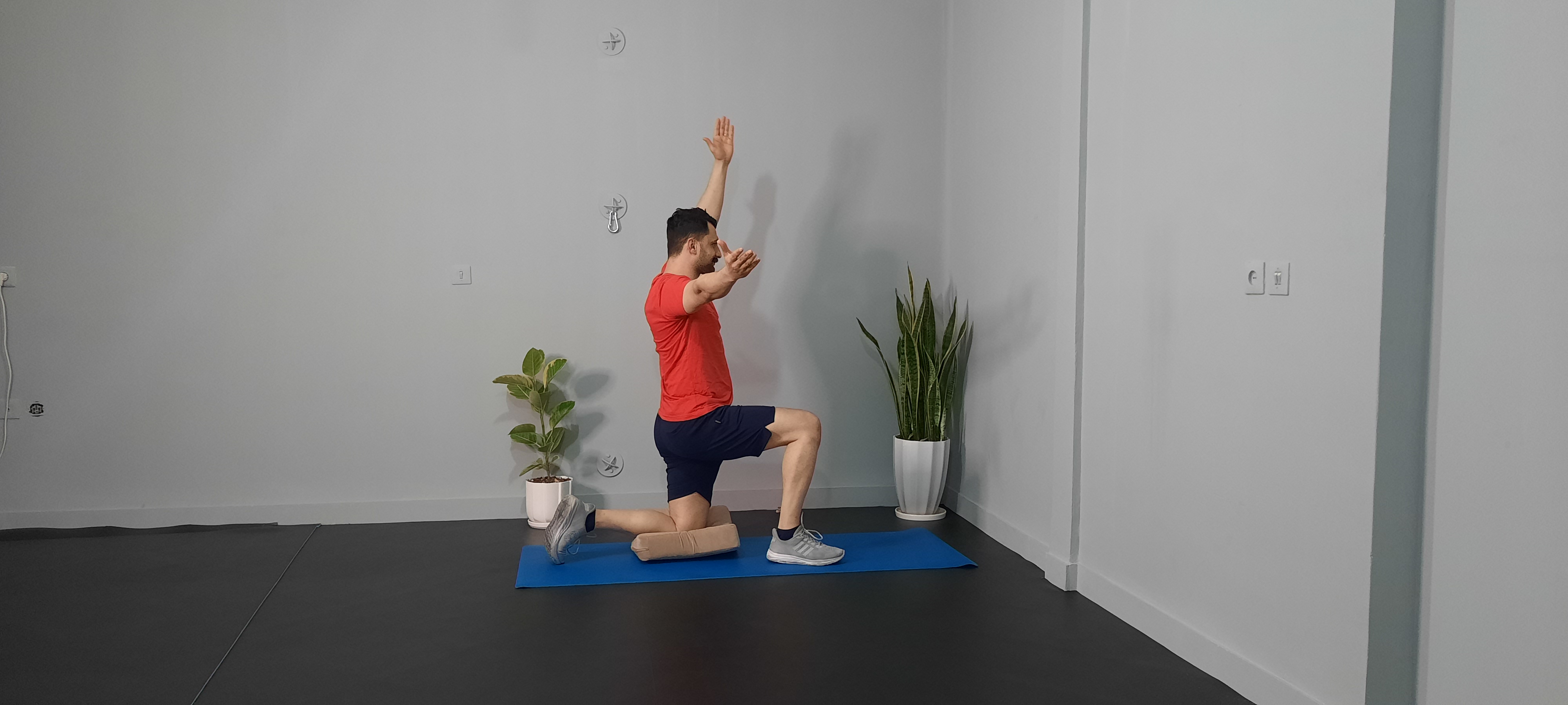 پلانک بالا اوردن پا متناوب