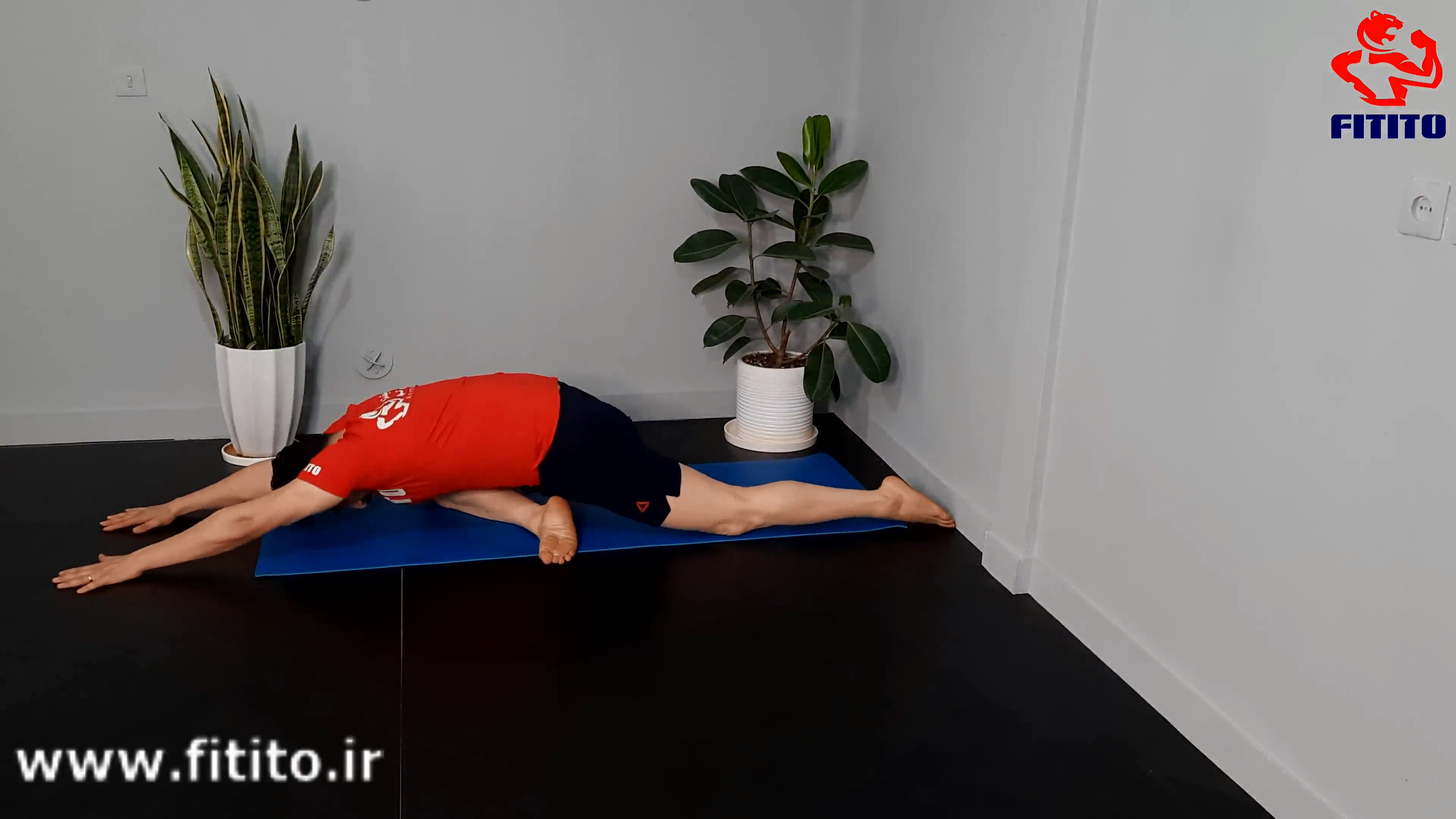 کشش در وضعیت کبوتر