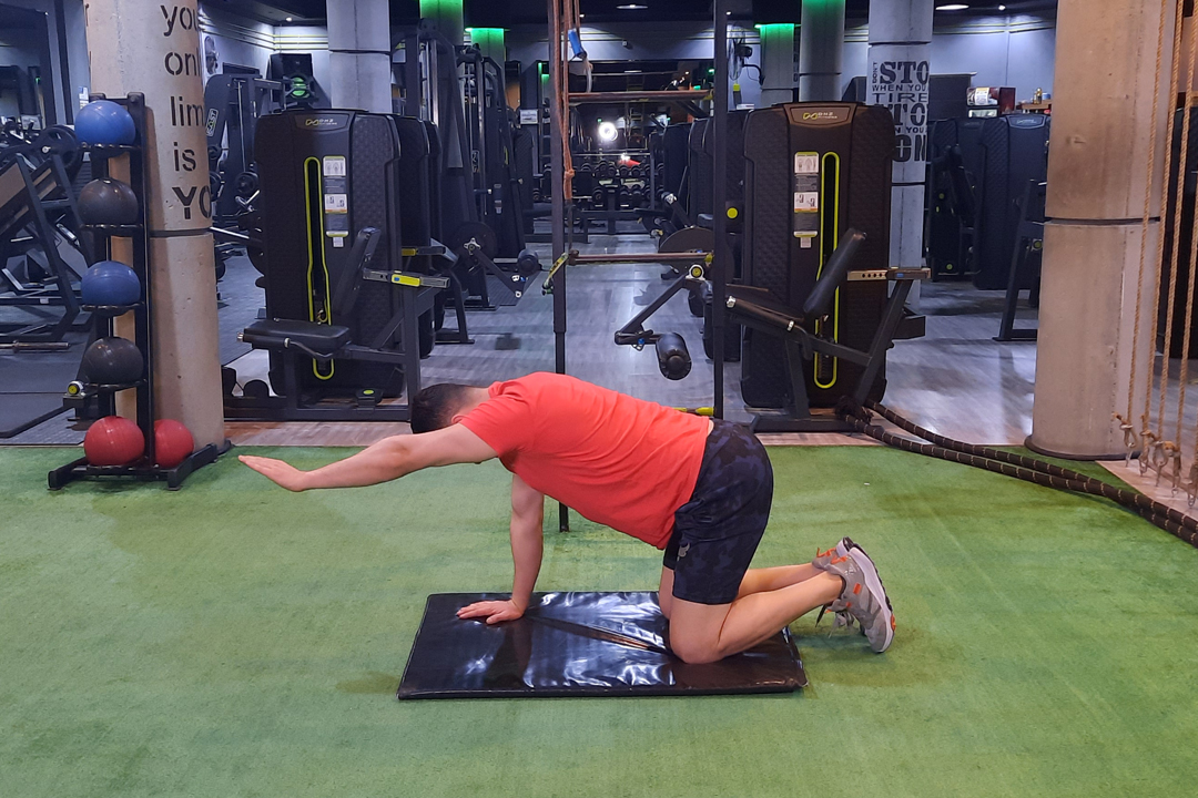 چهار دست و پا با بلند کردن یک دست