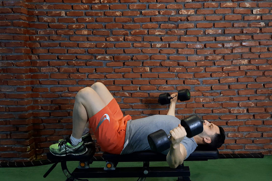 قفسه سینه تخت دمبل