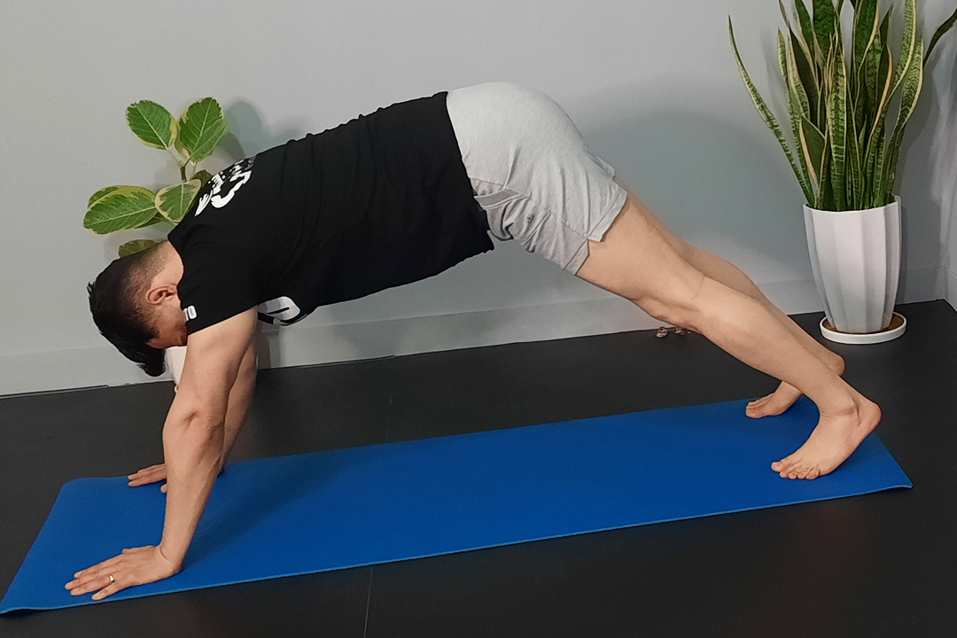 حرکت کرم به حالت ایستاده