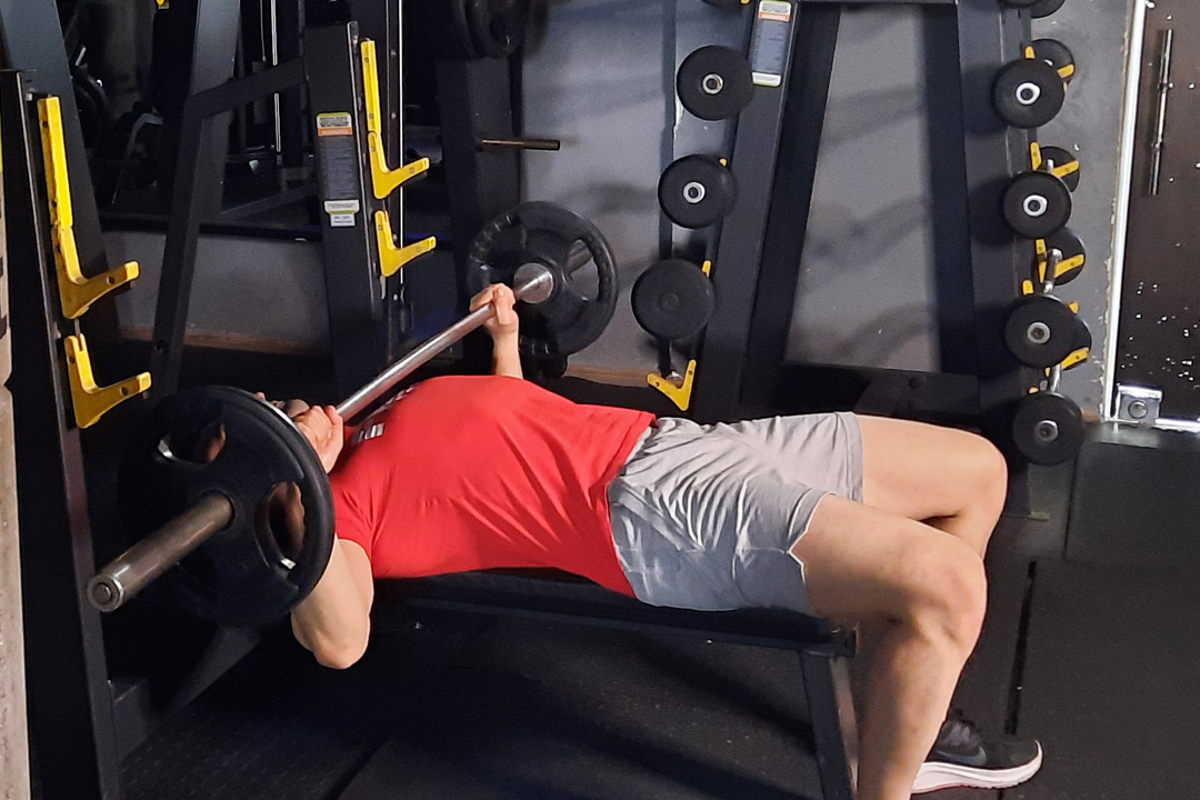 پرس سینه تخت هالتر