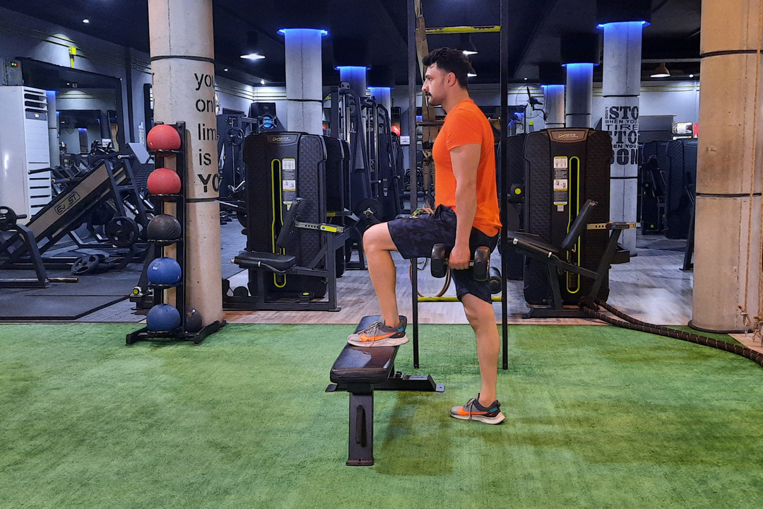 استپ آپ دمبل متناوب