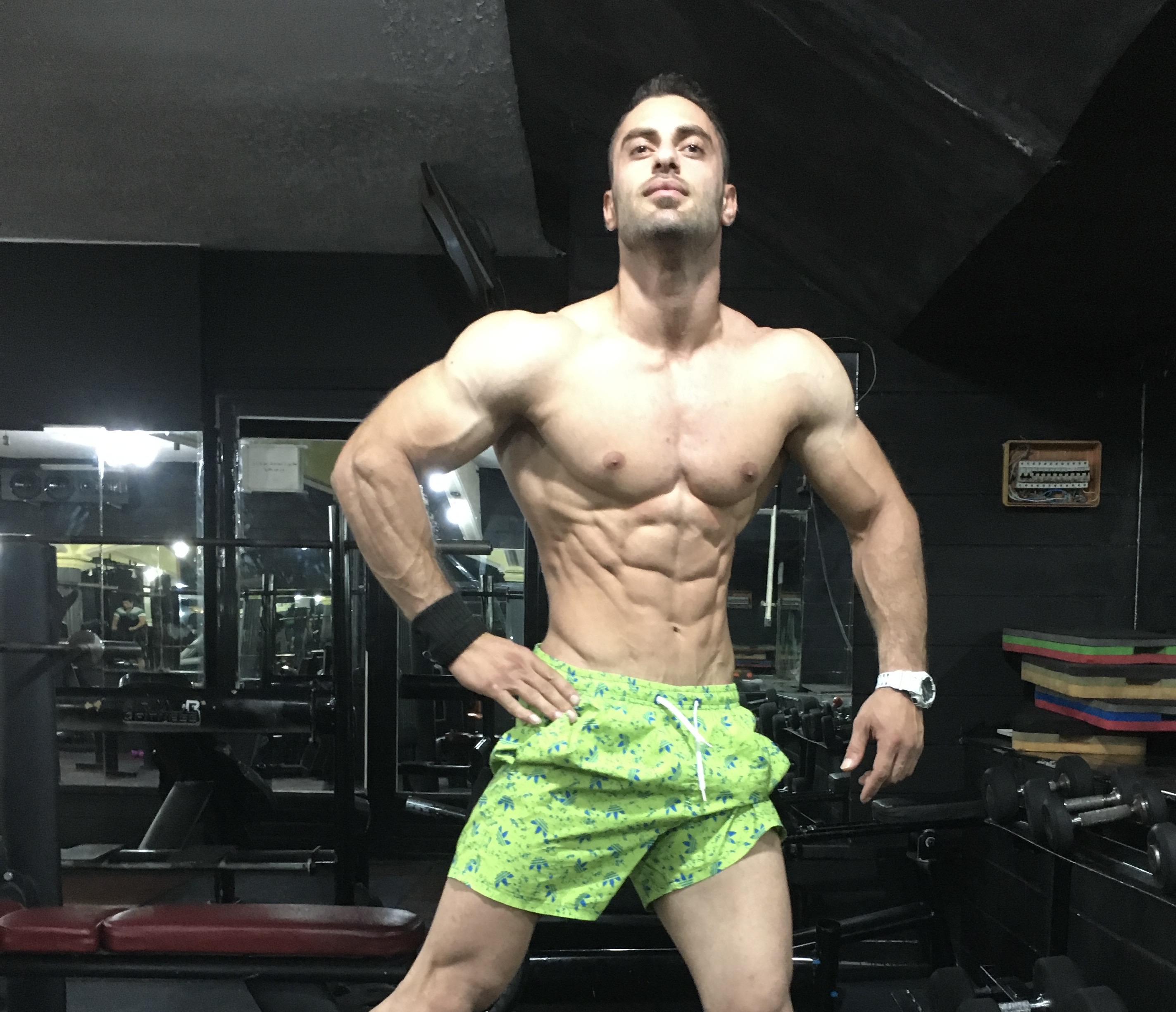 وحید ابوالحسن زاده