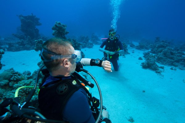 بند مچی برای کامپیوتر غواصی SUBEA – نئوپرن – مشکی