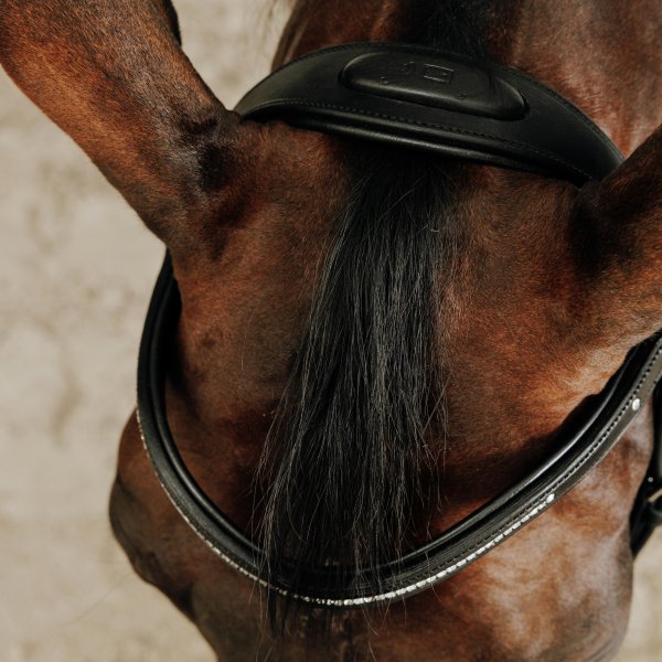 افسار چرمی برای اسب و پونی – مدل 580 – رنگ مشکی – برند FOUGANZA