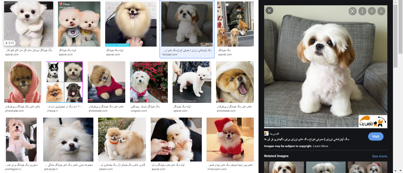 تکنولوژی وب چیست؟ 