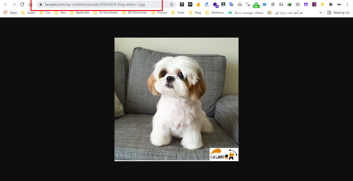 تکنولوژی وب چیست؟ 