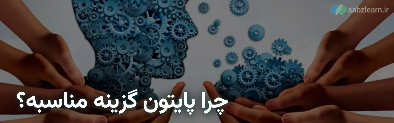 طراحی سایت با پایتون: چرا پایتون یک گزینه مناسب برای طراحی سایته؟